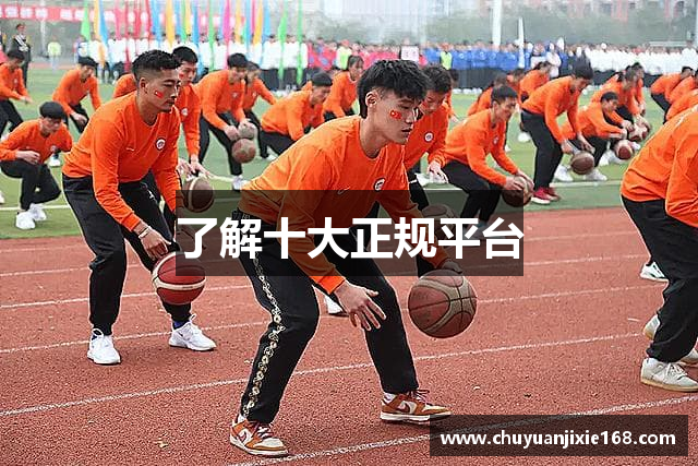 了解十大正规平台